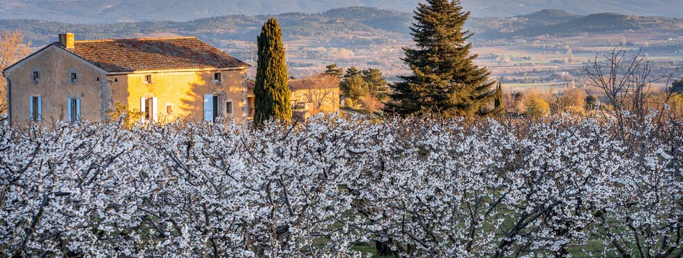 Mont Ventoux Provence