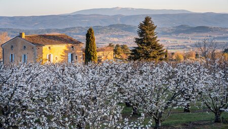 Für Genussradfahrer-Cotes-du-Rhone von Avignon nach Châteauneuf-du-Pape