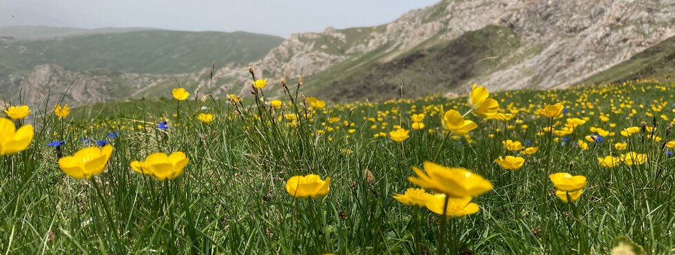 Auf dem Weg zum Berg Korab