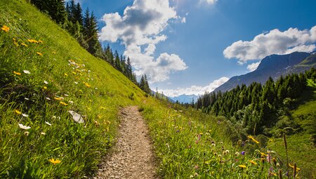 13 Tage Lechweg: Lech am Arlberg - Füssen