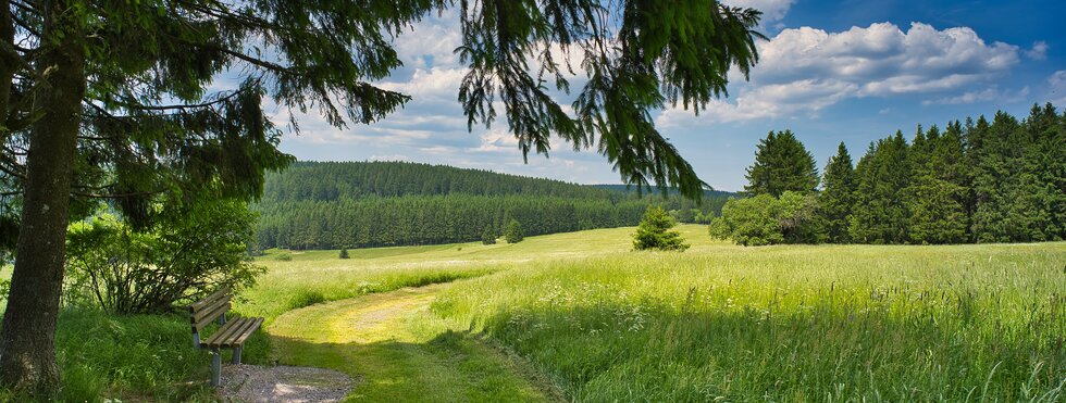 Bank zum Ausruhen am Rennsteig, Thüringen