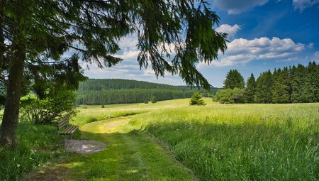 Rennsteig für Genießer: Oberhof – Neuhaus am Rennweg