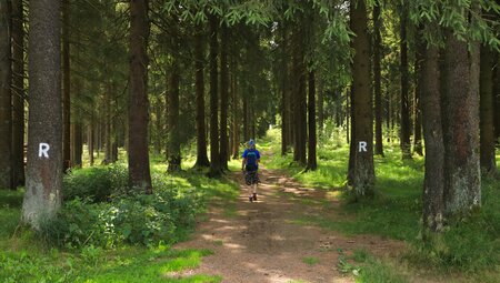 Rennsteig für Genießer: Neuhaus am Rennweg - Blankenstein