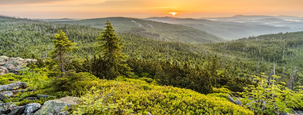 Berg Lusen im Bayerischen Wald