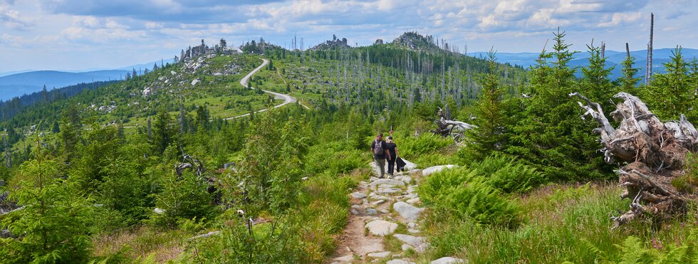 Wandern auf dem Dreissel-Massiv am Goldsteig bei Haidmühle