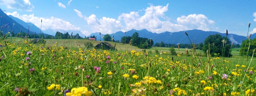 Landschaft im Bayerischen Alpenvorland