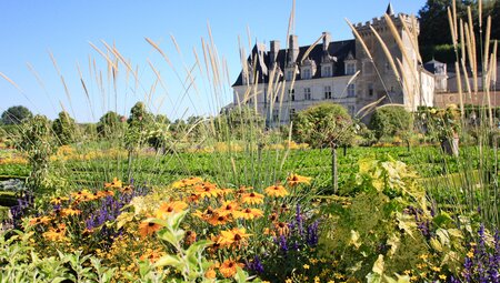 Die Schlösser der Loire - klassische Tour von Orléans nach Saumur