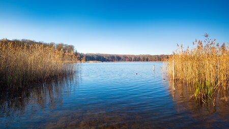 6 Tage Rundwanderung durch den Müritz Nationalpark