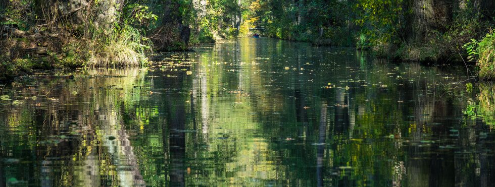 Spreewald