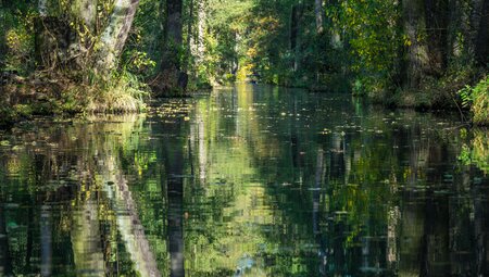 Spreewald Wanderung