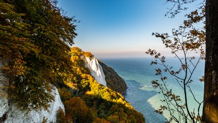 Rügen Wanderung Von den Seebädern zum Königstuhl