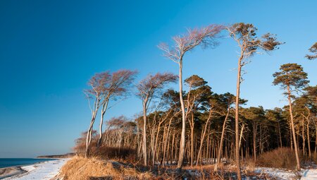 Traumstrände rund um den Darß - Bummeltour