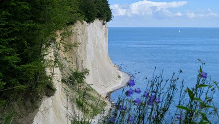 Ostseetour - Romantisches Rügen und Vorpommersche Küste