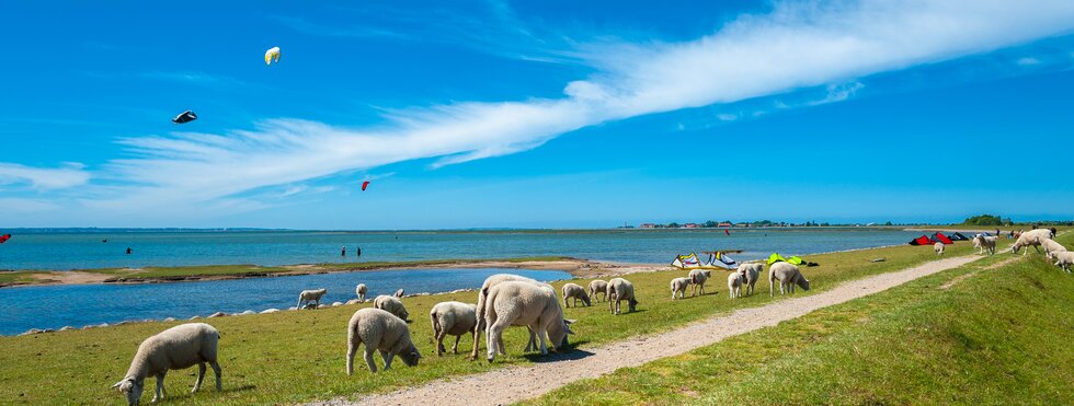 Fehmarn