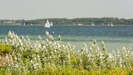 Ostsee-Radweg Flensburg - Lübeck