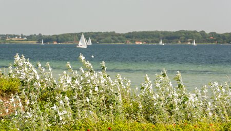 Ostsee-Radweg Flensburg - Lübeck