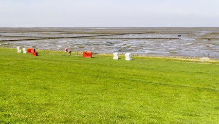 Nordseeküsten-Radweg Hamburg - Husum