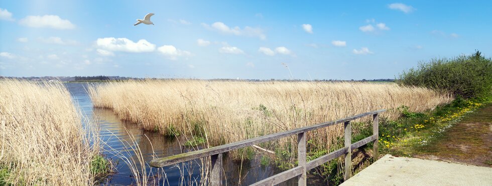 Schlei Schleswig Holstein