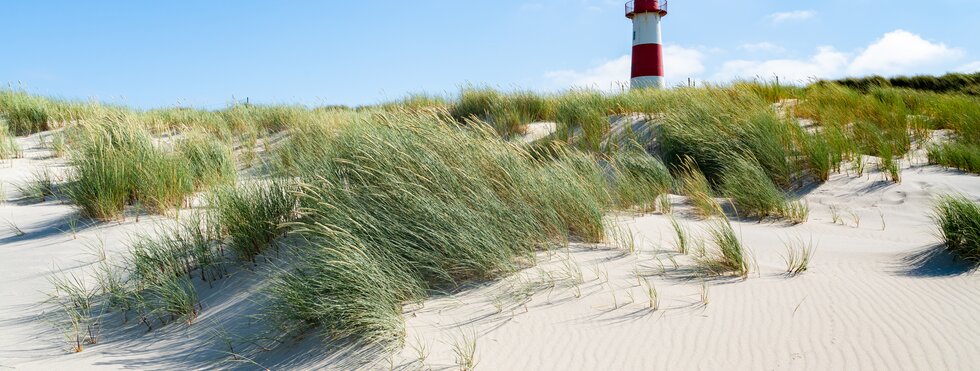 Insel Sylt