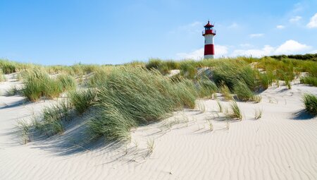 Nordseeküsten-Radweg Hamburg - Sylt