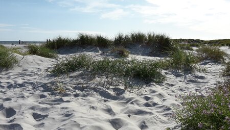 Doppelsterntour Insel Bornholm