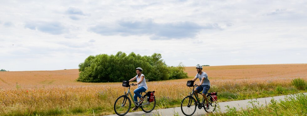 Zwei Radfahrer zwischen Feldern am Ostsee-Radweg