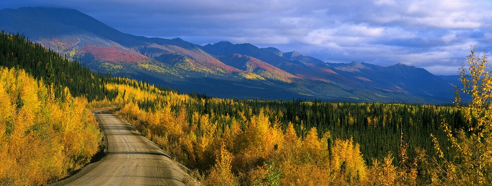 Arctic Ocean Dream & Dempster Highway | Whitehorse nach Tuktoyaktuk