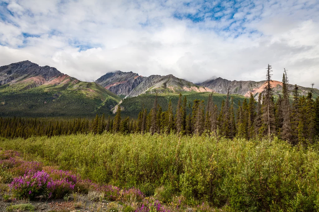 Yukon & Alaska Explorer | Hotel-Wander-Reise