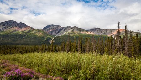 Yukon & Alaska Explorer | Hotel-Wander-Reise