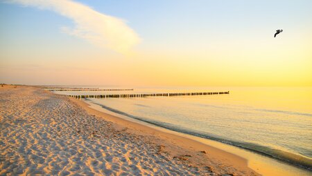 Ostsee-Radweg Warnemünde/ Rostock - Rügen 9 Tage