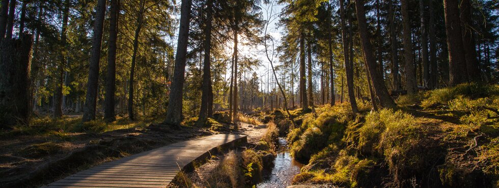 Romantischer Ostharz - Radeln & Wandern 7 Tage