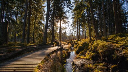 Romantischer Ostharz - Radeln & Wandern 7 Tage