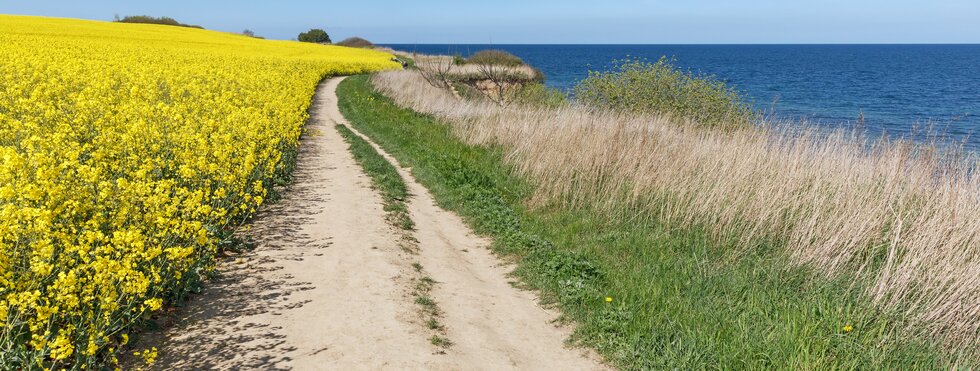 Ostsee-Radweg Lübeck - Stralsund Bummeltour Exklusiv