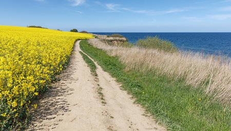 Ostsee-Radweg Lübeck - Stralsund Bummeltour Exklusiv