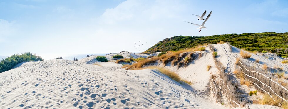 Ostsee-Radweg  Lübeck – Stralsund - Usedom