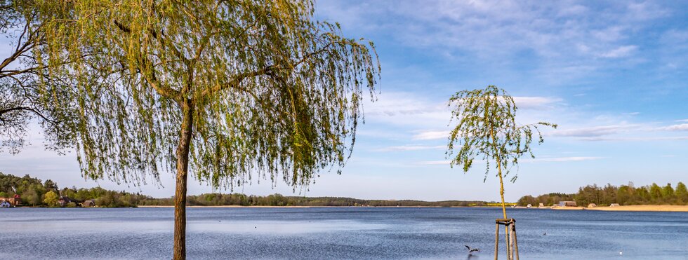 Rund um Müritz & Plauer See