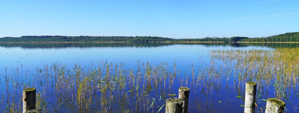 Große Seen Natur Erlebnisreise durch Mecklenburg und Brandenburg