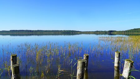 Große Seen Natur Erlebnisreise durch Mecklenburg und Brandenburg