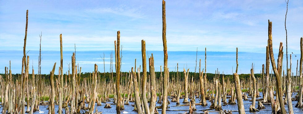 Durch das Peenetal zur Ostsee