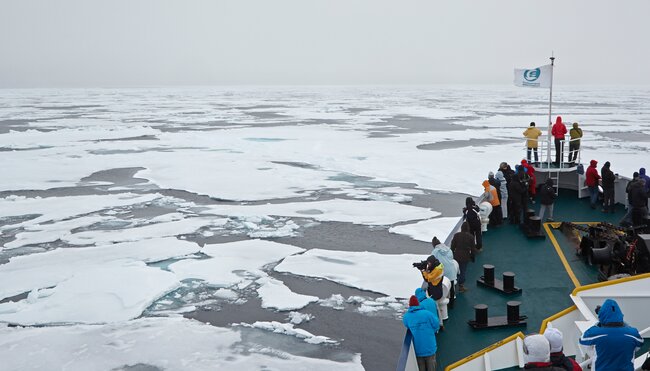 Packeis zwischen Nordostgrönland und Spitzbergen im August