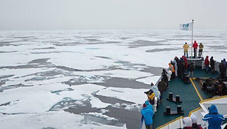 Nordostgrönland - Scoresby Sund & Nansen Fjord