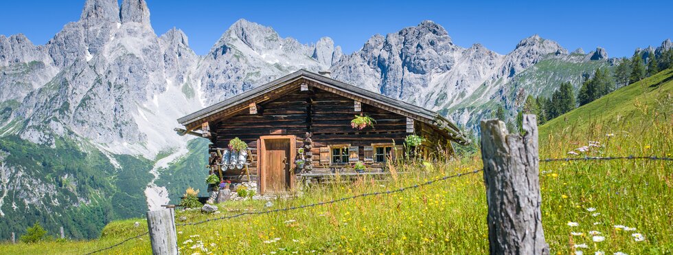 Idyllisches Chalet bei Filzmoos, Österreich