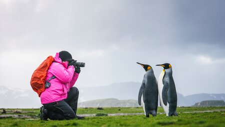 Falkland Inseln – Südgeorgien - Elephant Island - Antarktis – Polarkreis