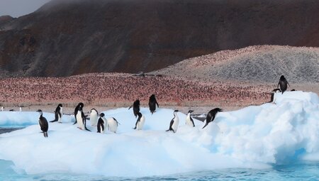 Antarktis - Weddell Sea Explorer