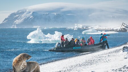 Antarktische Halbinsel - Polarkreis: Entdeckung des tiefen Südens | 14 Tage