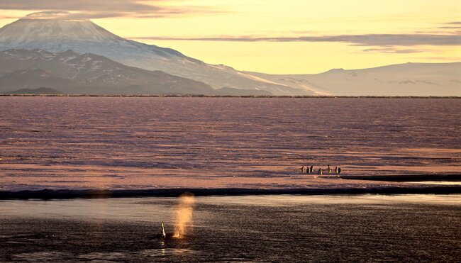 Sonnenuntergang Rossmeer