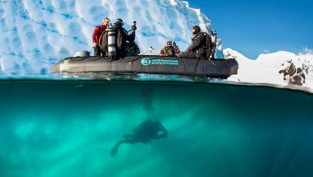 Antarktis - Walbeobachtung. Entdeckungs- und Lernreise