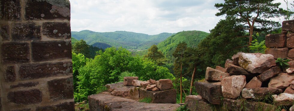 Burg Elsass