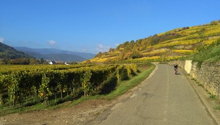 Durch Weinberge und Dörfer