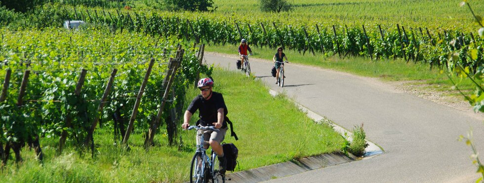 Radfahren Elsass